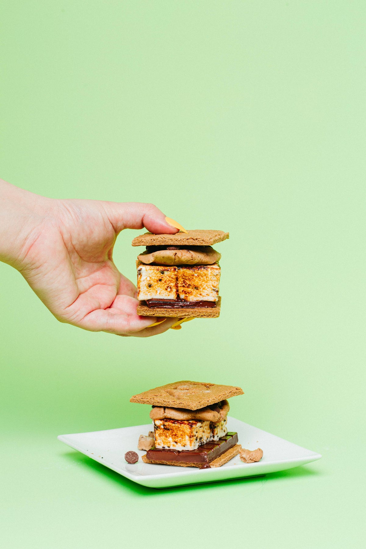 CHOCOLATE CHIP MARSHMALLOWS