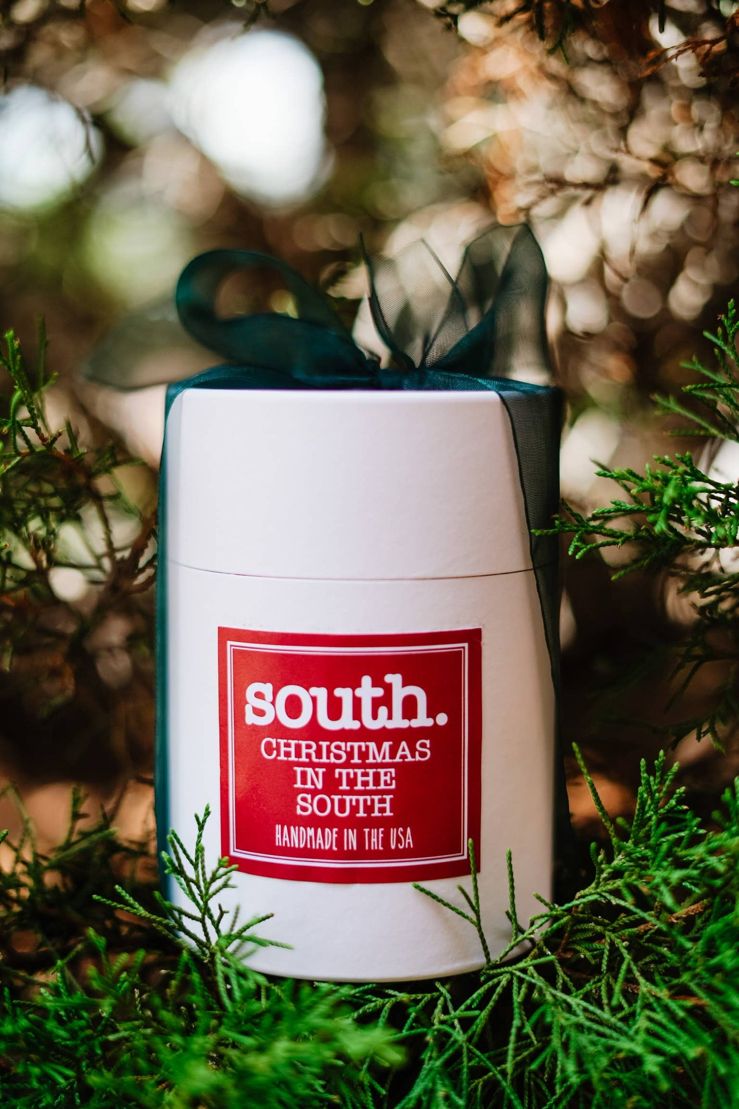 CHRISTMAS IN SOUTH: MINI