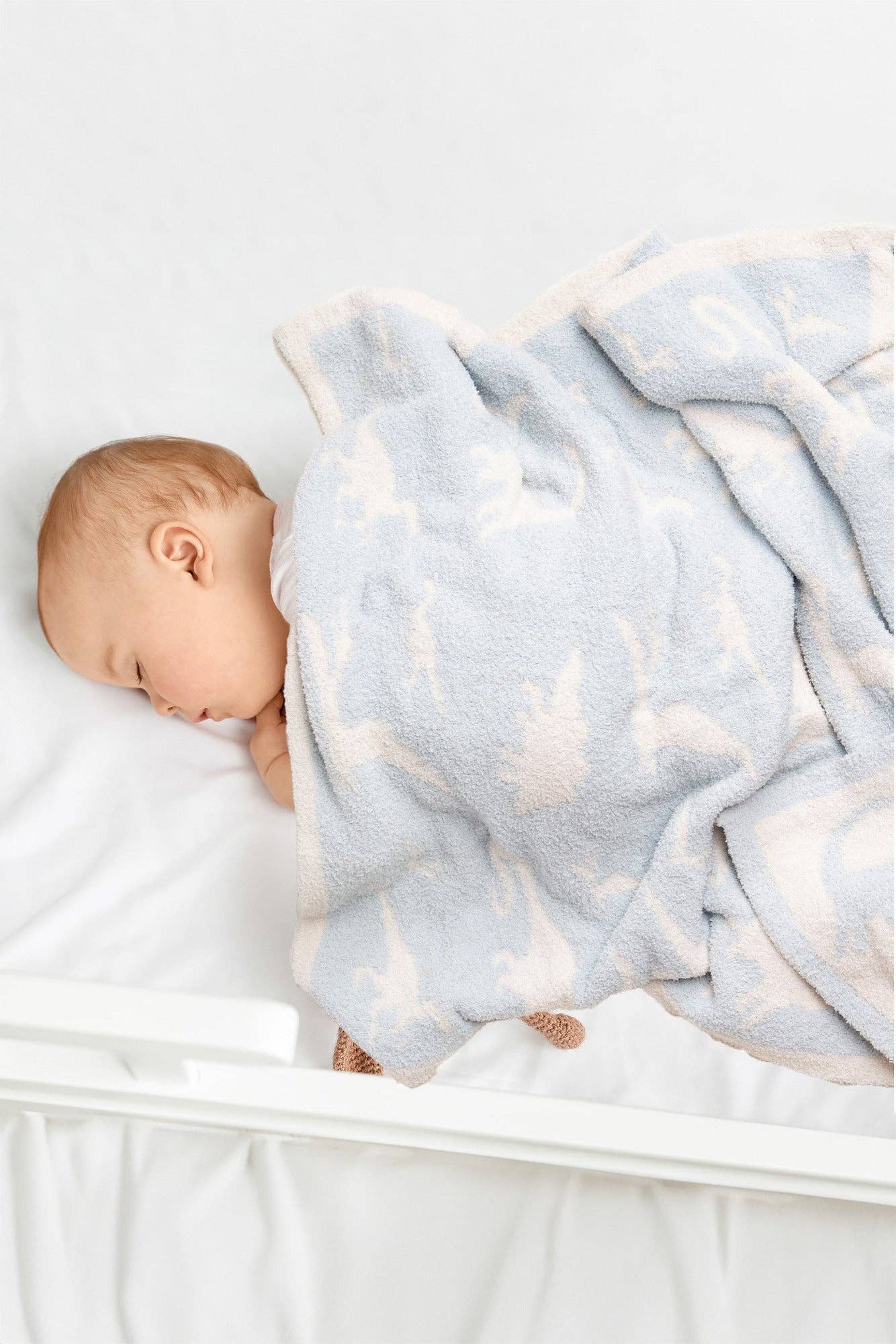 CHILDRENS LUX BLANKET: DINOSAUR