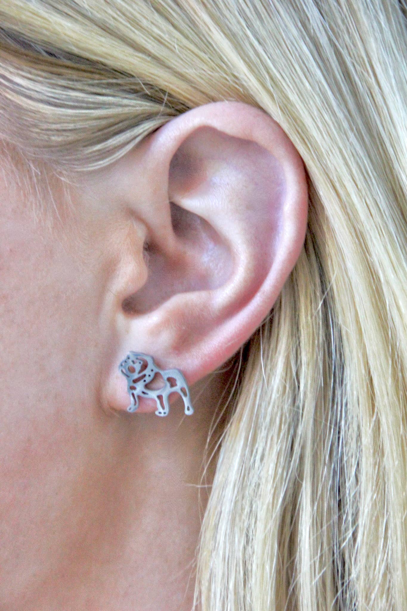 SILVER BULLDOG STUDS