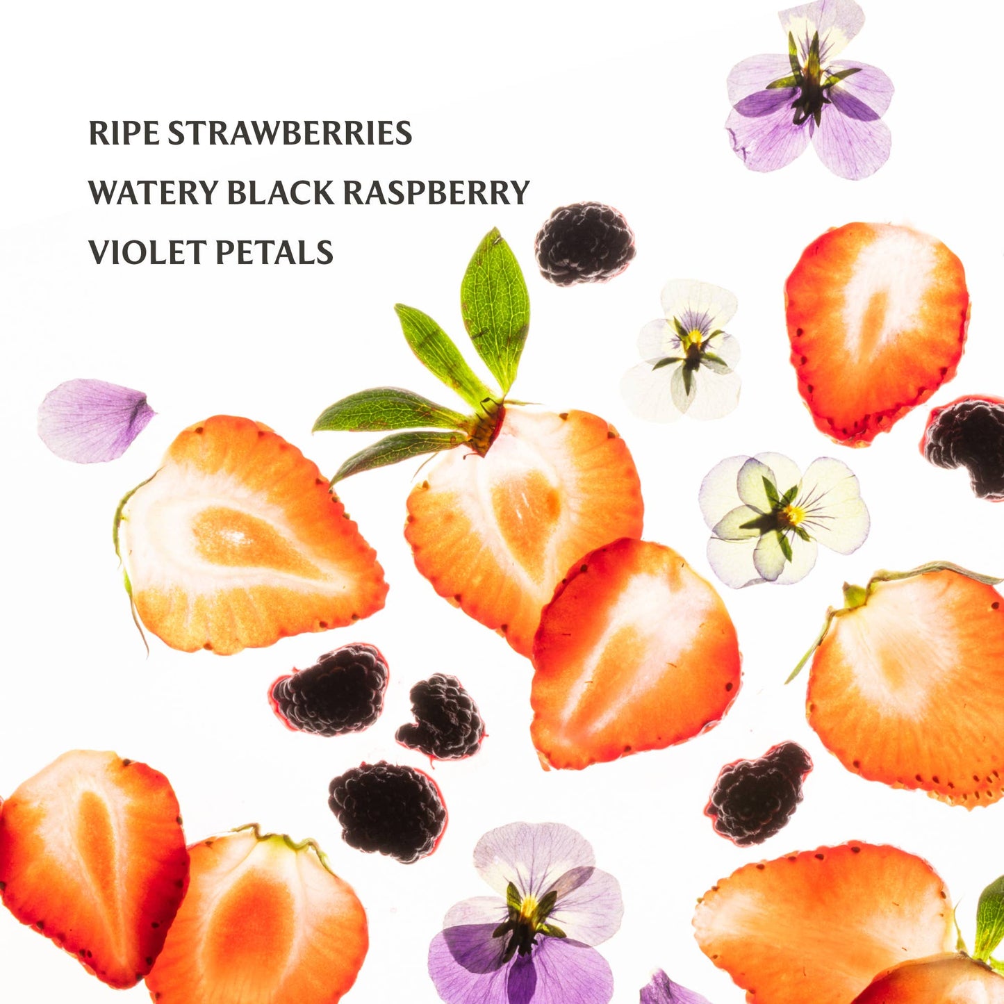 TOUCHLAND: BERRY BLISS